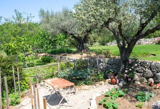 character properties France provence cote dazur   - 17