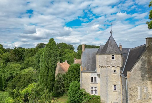 France mansions for sale pays de loire   - 6