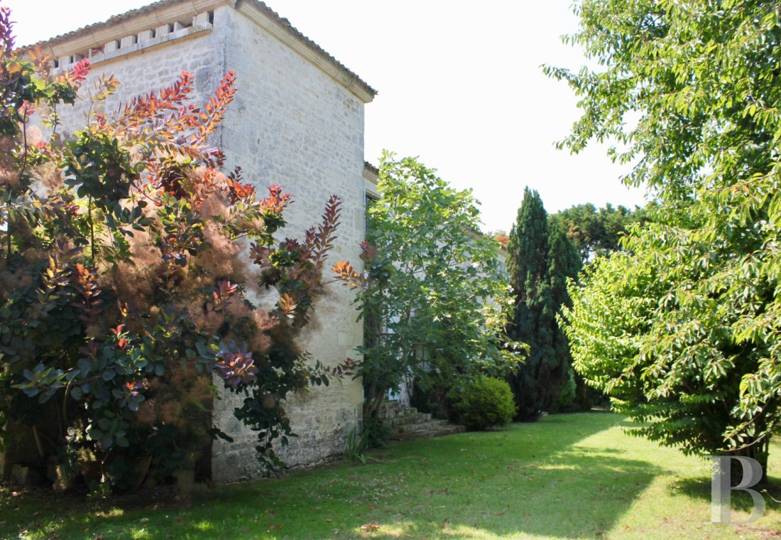 France mansions for sale poitou charentes   - 14
