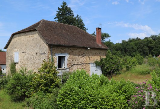 character properties France limousin   - 16