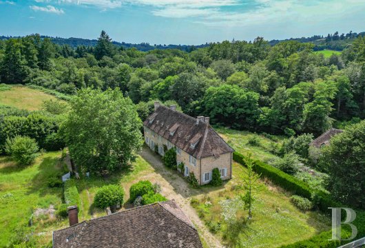character properties France limousin   - 3