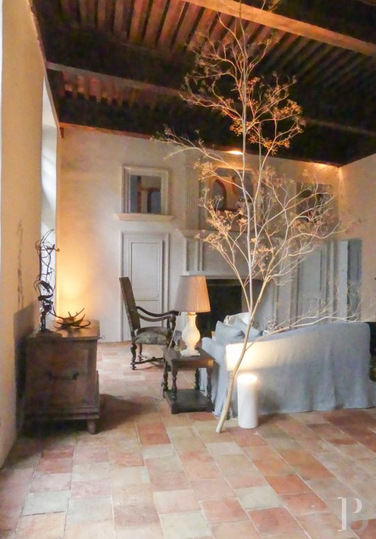 mansion houses for sale France languedoc roussillon   - 11