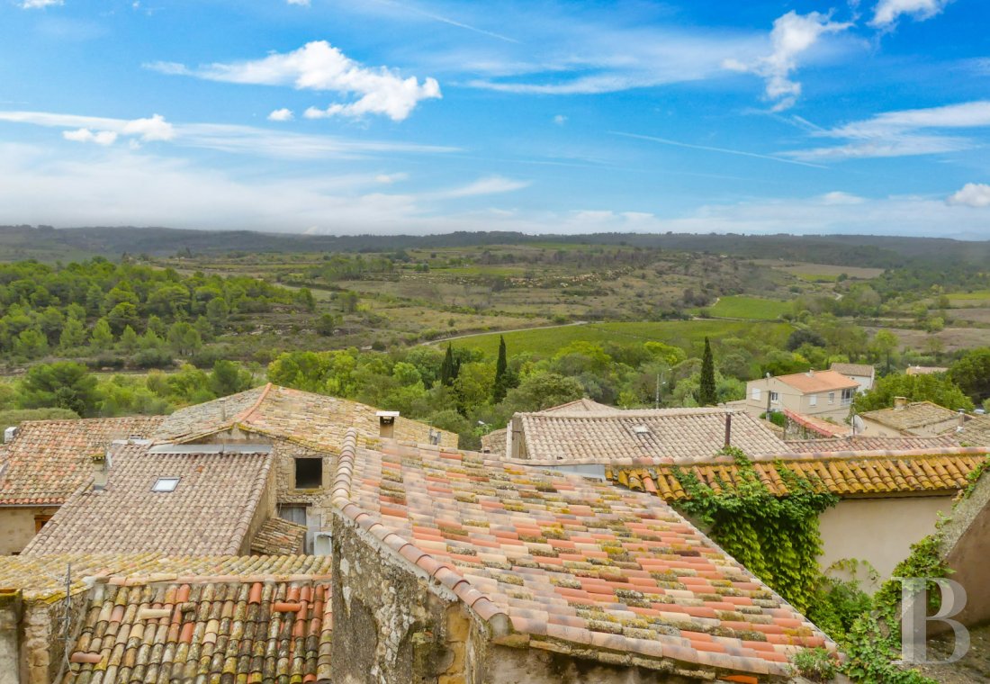 mansion houses for sale France languedoc roussillon   - 19