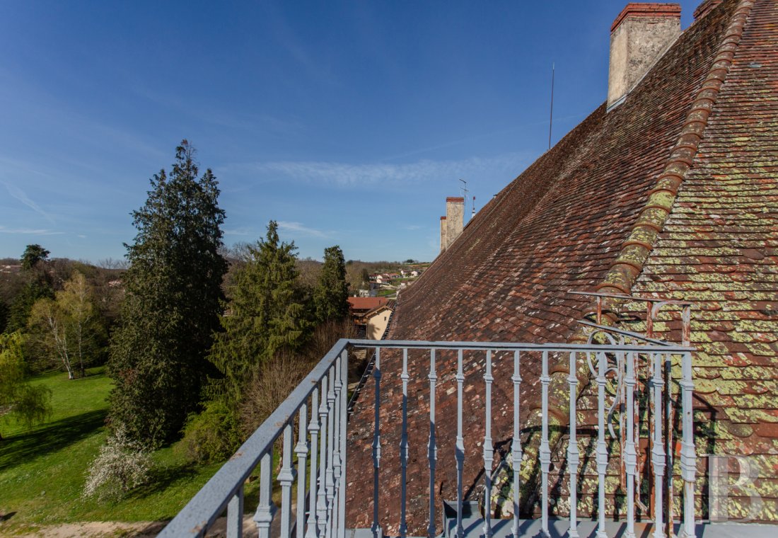 chateaux for sale France rhones alps   - 13