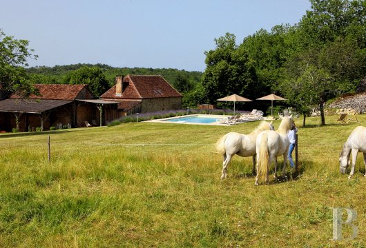A former farm paying tribute to the traditions of Périgord Noir in Dordogne - photo  n°3