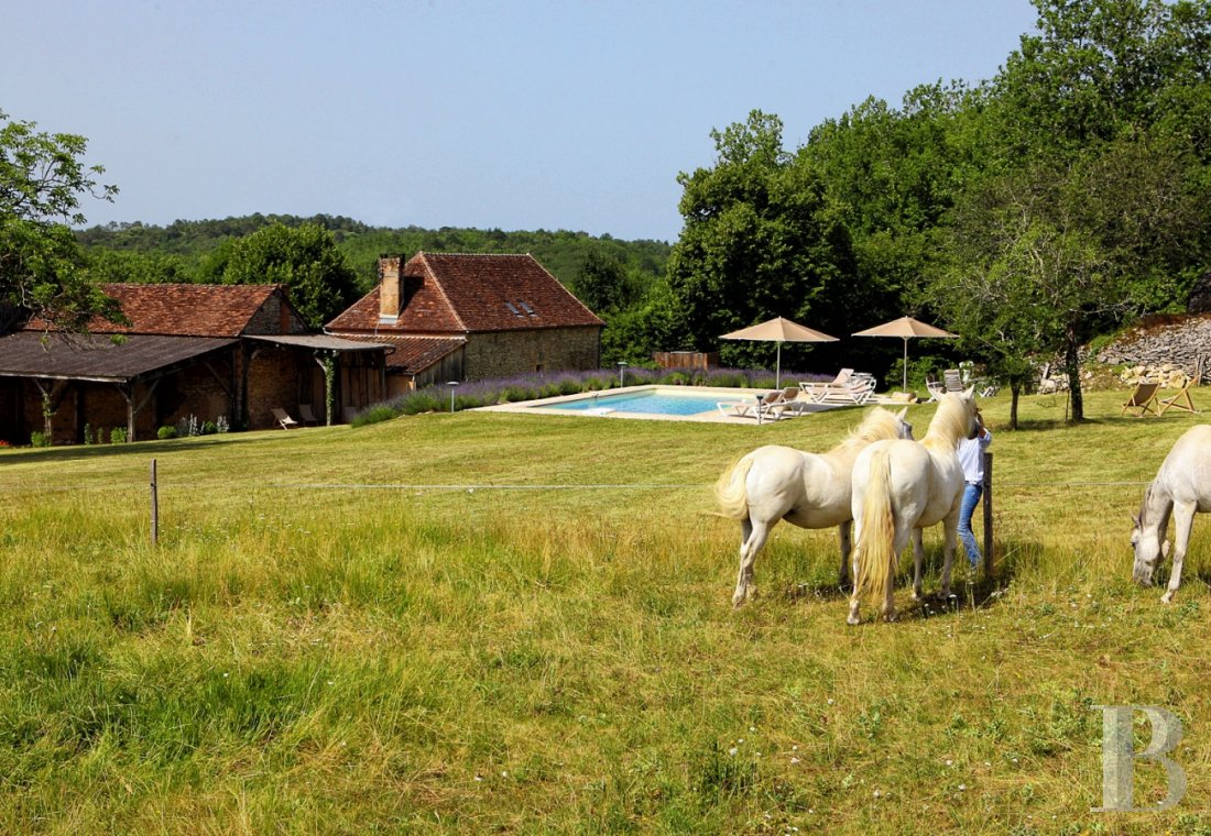 A former farm paying tribute to the traditions of Périgord Noir in Dordogne - photo  n°8