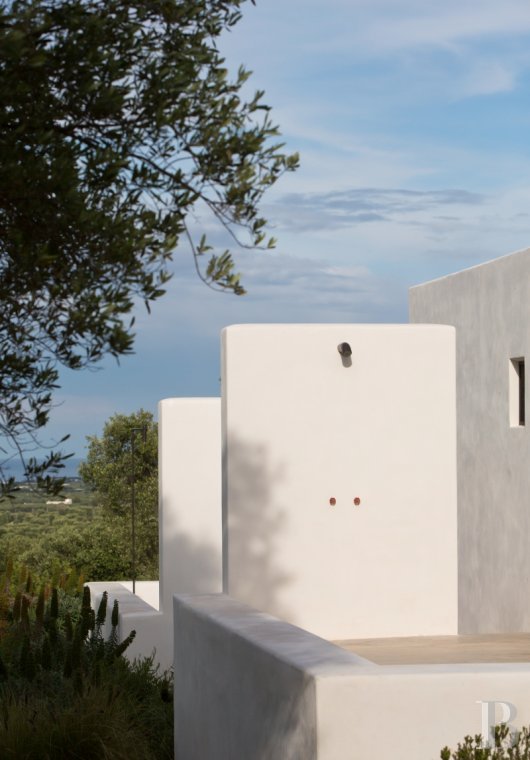 The Casa di Monti, between two seas and a field of ancient olive trees, perfect for holidays in Puglia in Southern Italy  - photo  n°6