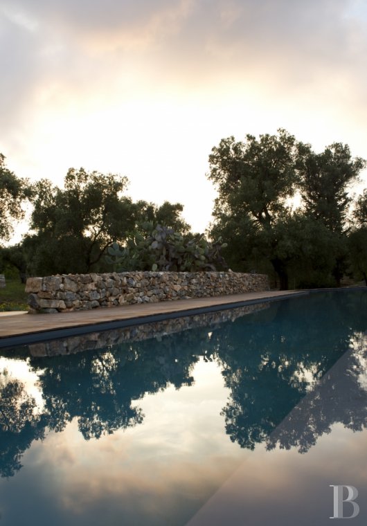 The Casa di Monti, between two seas and a field of ancient olive trees, perfect for holidays in Puglia in Southern Italy  - photo  n°36