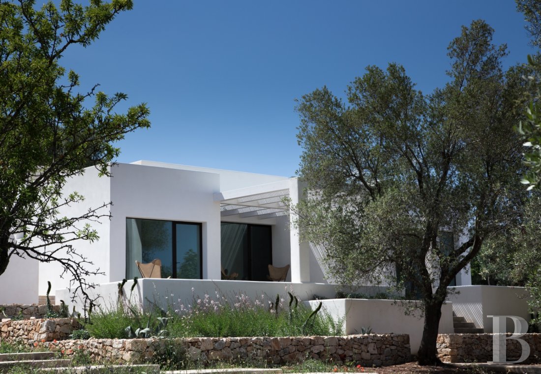 The Casa di Monti, between two seas and a field of ancient olive trees, perfect for holidays in Puglia in Southern Italy  - photo  n°1