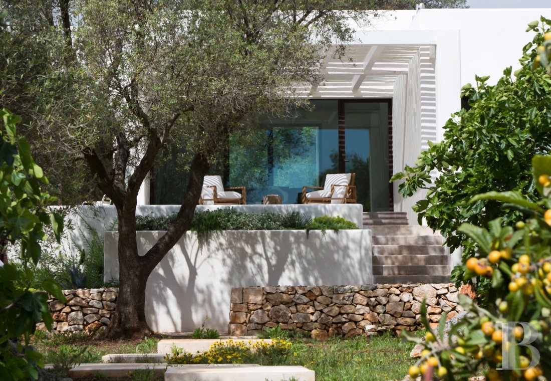 The Casa di Monti, between two seas and a field of ancient olive trees, perfect for holidays in Puglia in Southern Italy  - photo  n°7