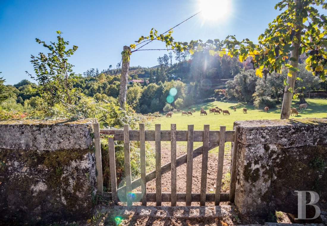 An old, rural estate converted into six guest houses in Cabeceiras de Basto in northern Portugal - photo  n°5