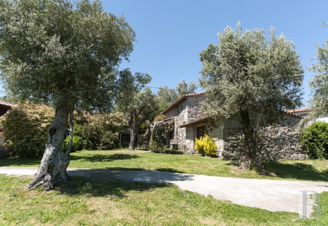 An old, rural estate converted into six guest houses in Cabeceiras de Basto in northern Portugal - photo  n°26