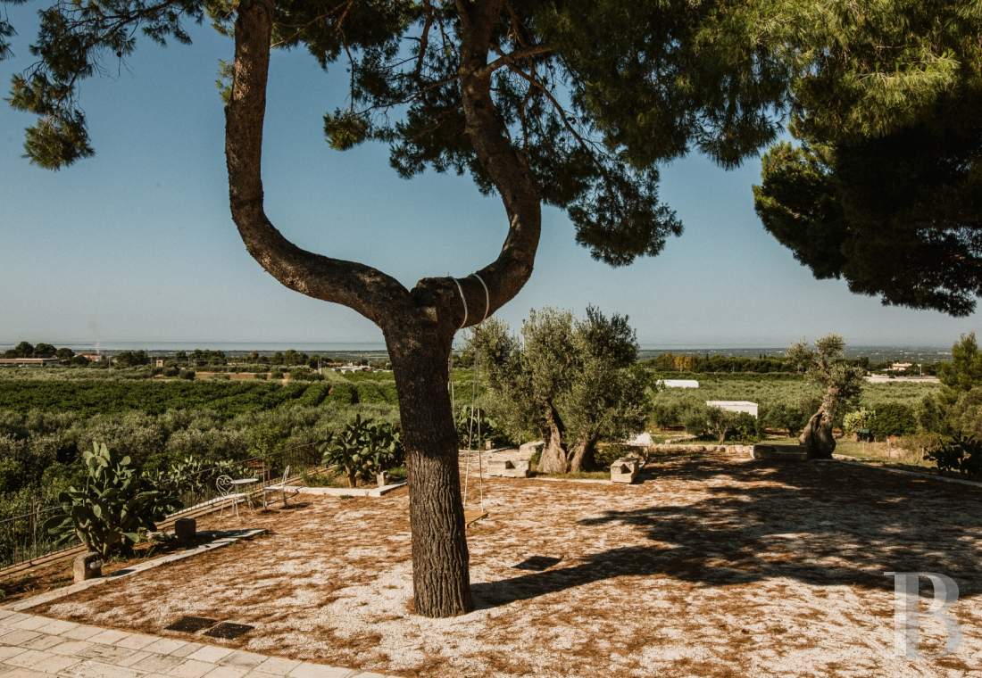 An old patrician-style masseria in Puglia, not far from Massafra - photo  n°9