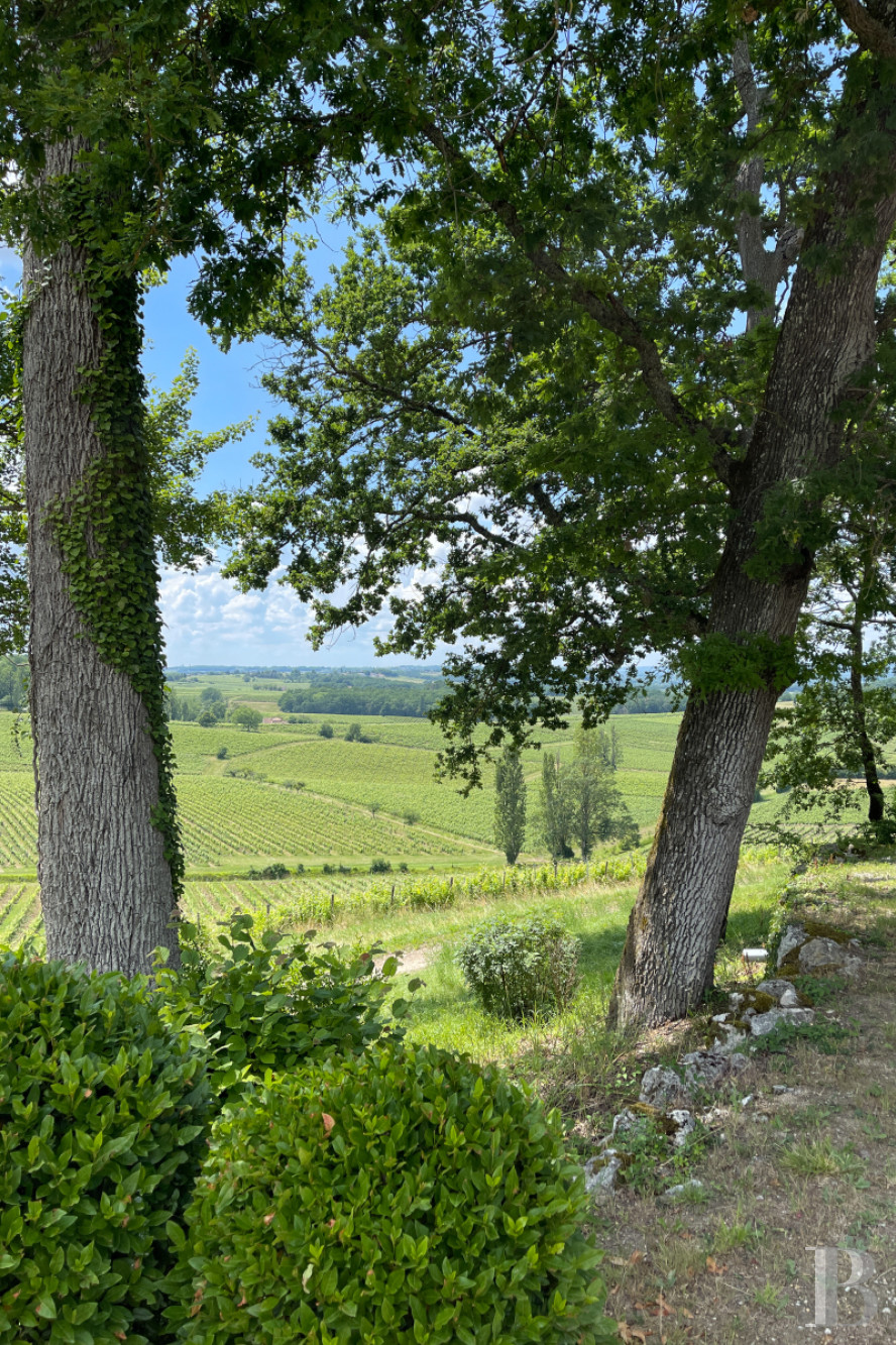 Vineyards for sale Purple Perigord in France
