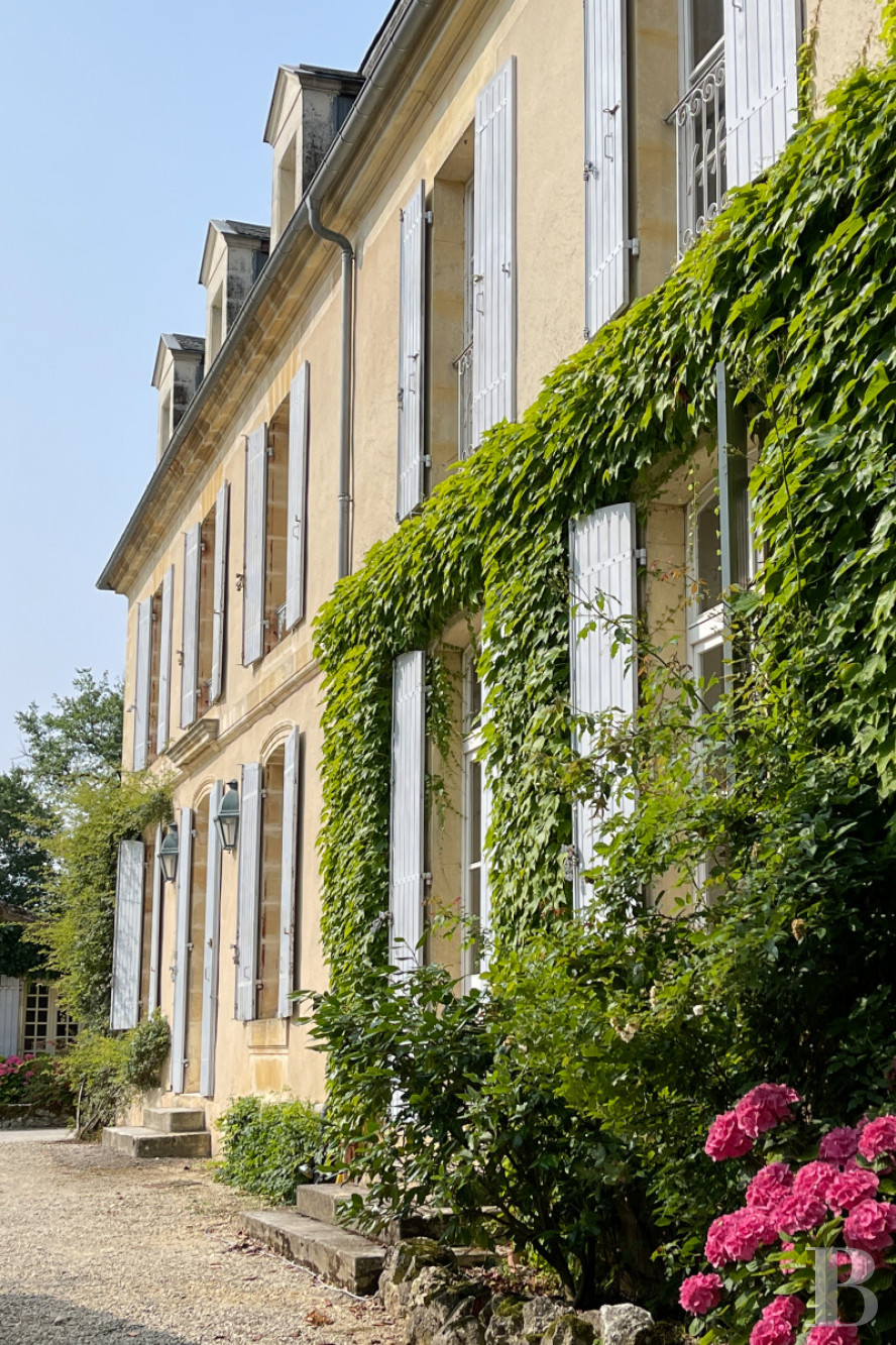 Vineyards for sale Purple Perigord in France