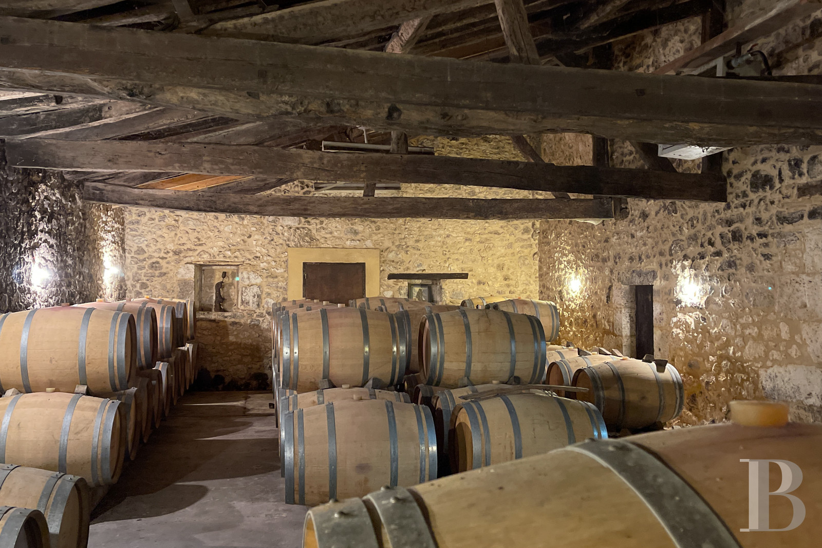 Vineyards for sale Purple Perigord in France