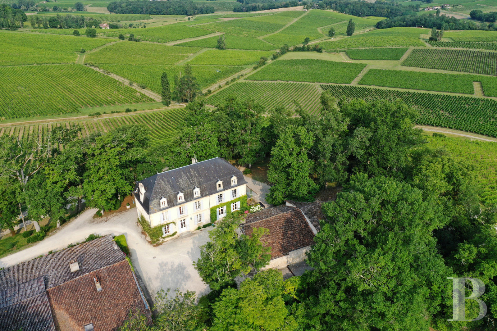Vineyards for sale Purple Perigord in France