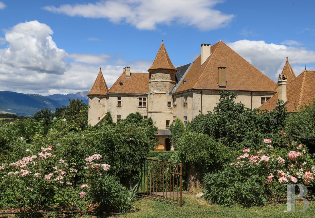 chateaux for sale France rhones alps   - 3