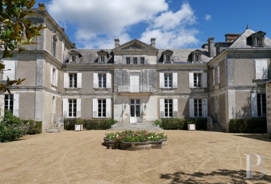 chateaux for sale France pays de loire   - 3