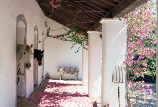 A former «cortijo» dedicated to holidays in Andalusia in the south of Spain - photo  n°15