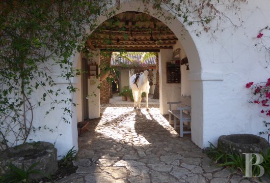A former «cortijo» dedicated to holidays in Andalusia in the south of Spain - photo  n°11
