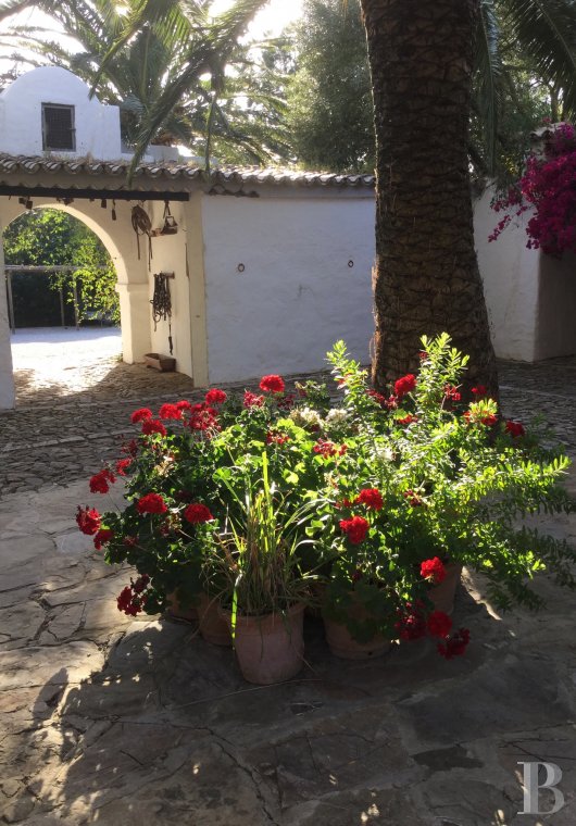 A former «cortijo» dedicated to holidays in Andalusia in the south of Spain - photo  n°11