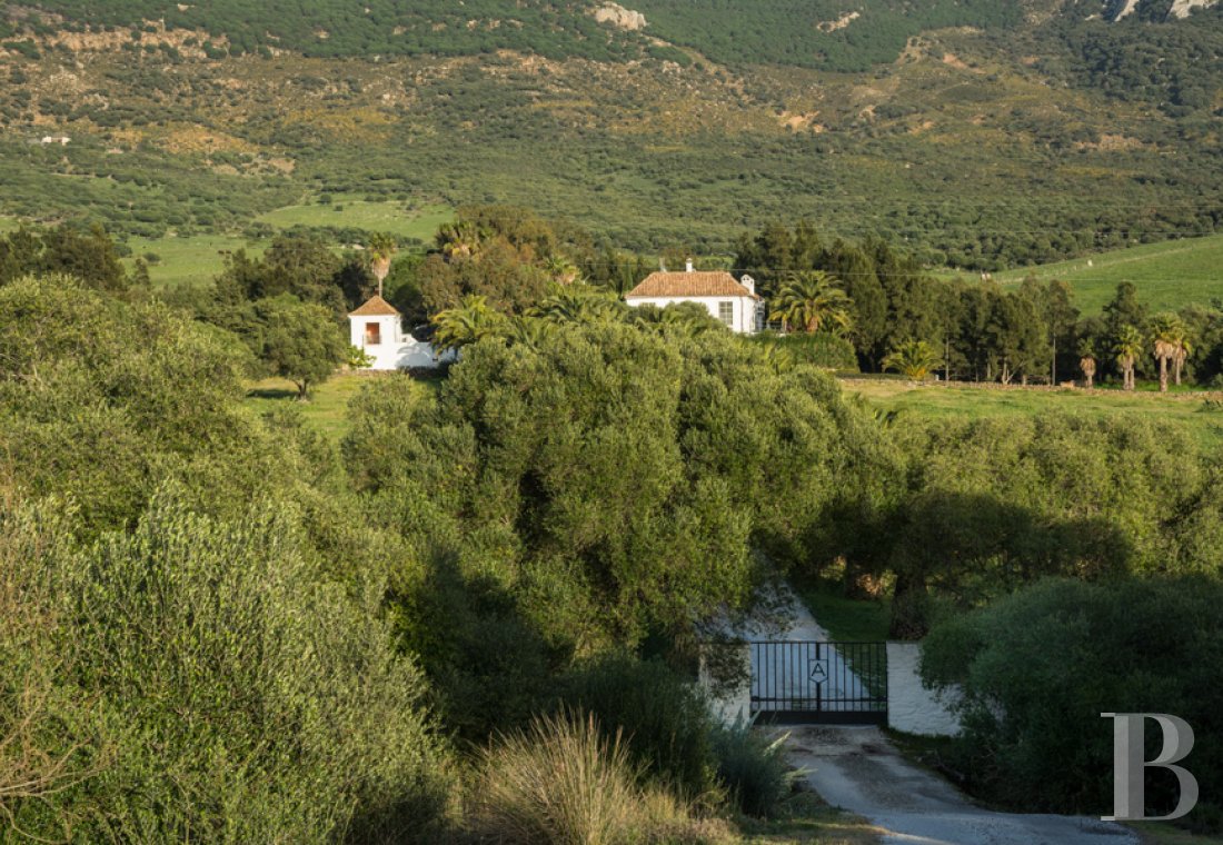 A former «cortijo» dedicated to holidays in Andalusia in the south of Spain - photo  n°4