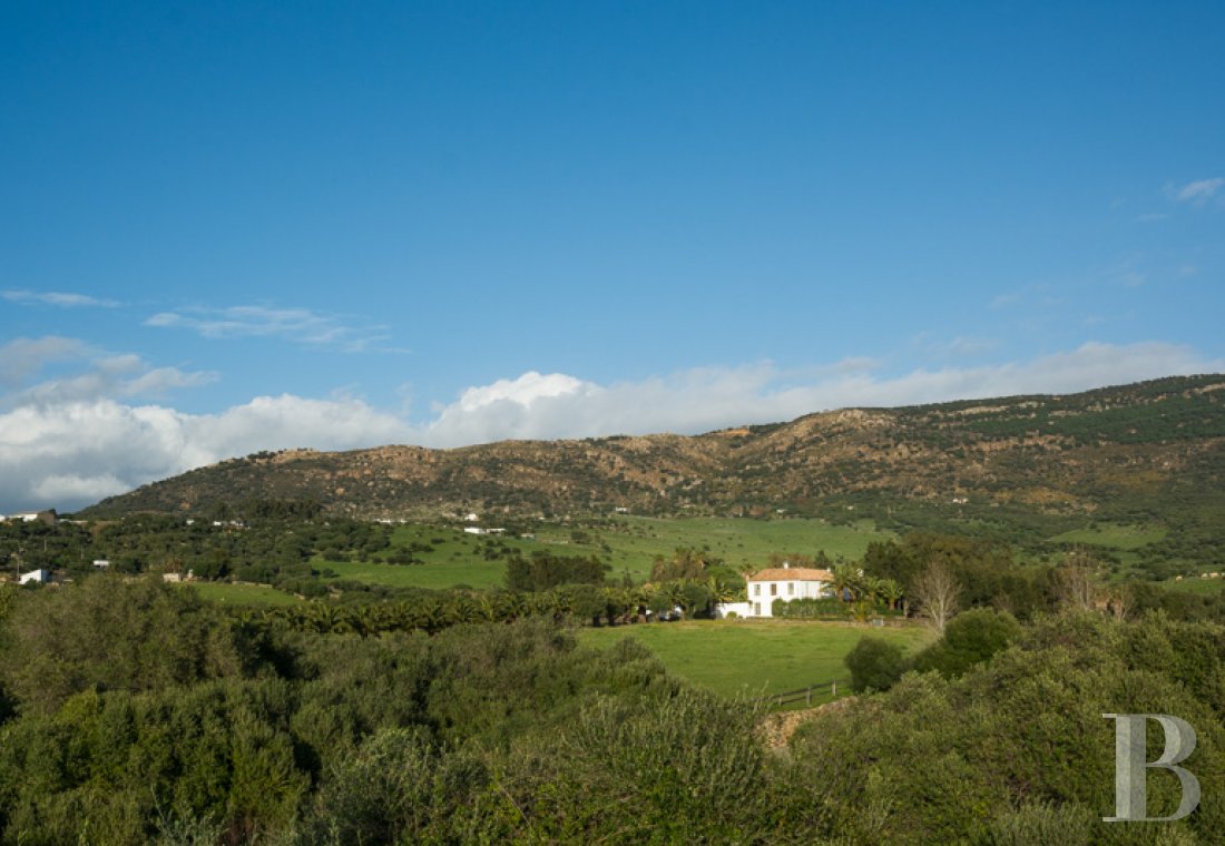 A former «cortijo» dedicated to holidays in Andalusia in the south of Spain - photo  n°29
