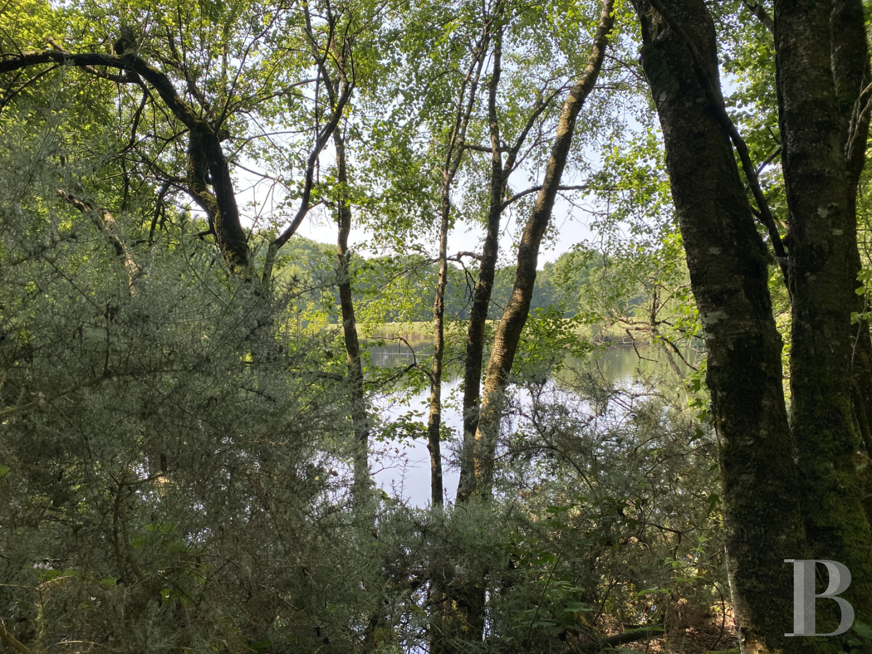 Hunting grounds for sale in France in Brittany