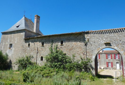 chateaux for sale France pays de loire   - 5