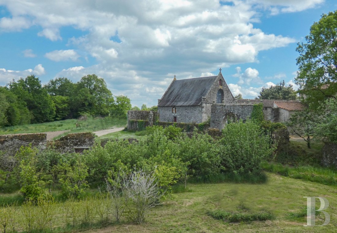 chateaux for sale France pays de loire   - 11