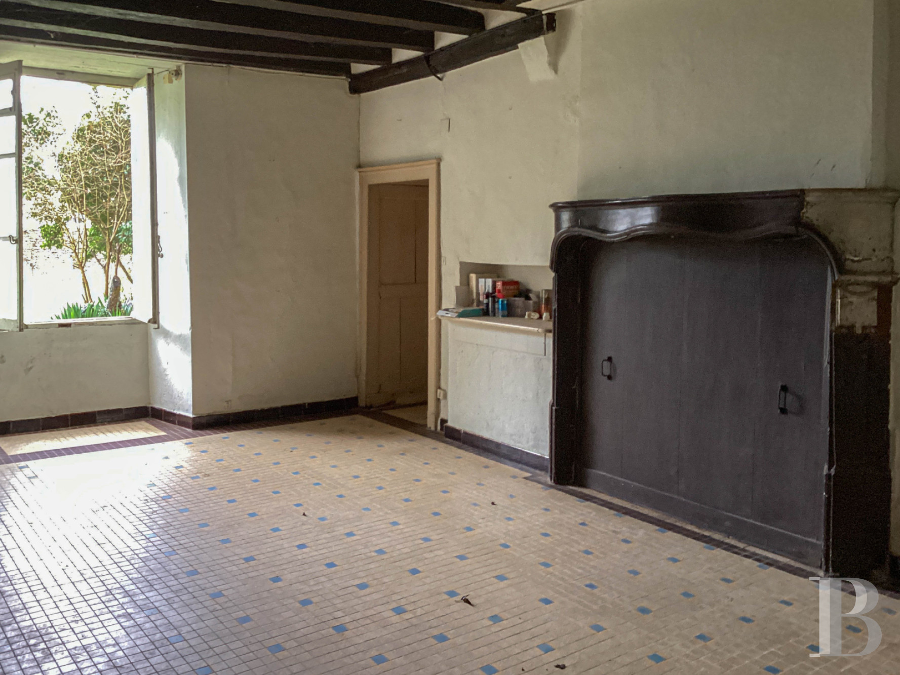 Character houses for sale near le Mans in France