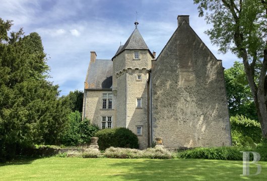 France mansions for sale pays de loire   - 8
