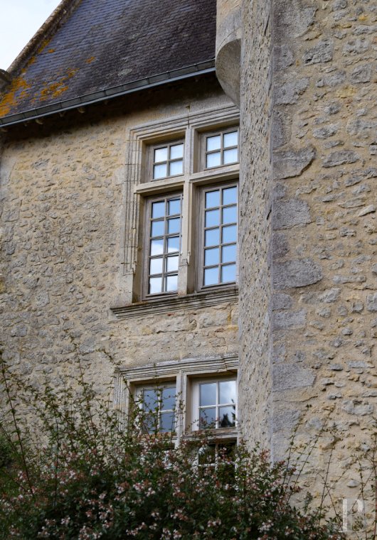 France mansions for sale pays de loire   - 7