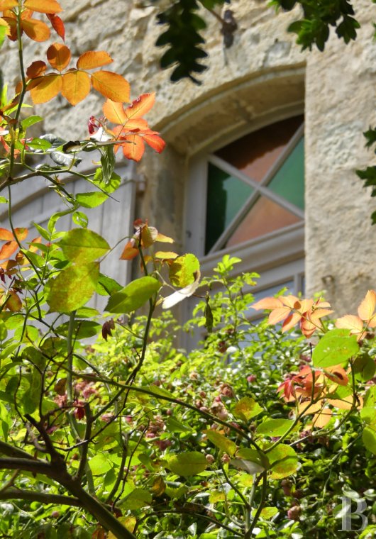 mansion houses for sale France midi pyrenees   - 3