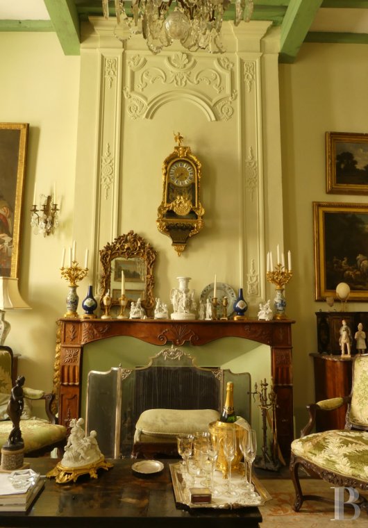 mansion houses for sale France midi pyrenees   - 5