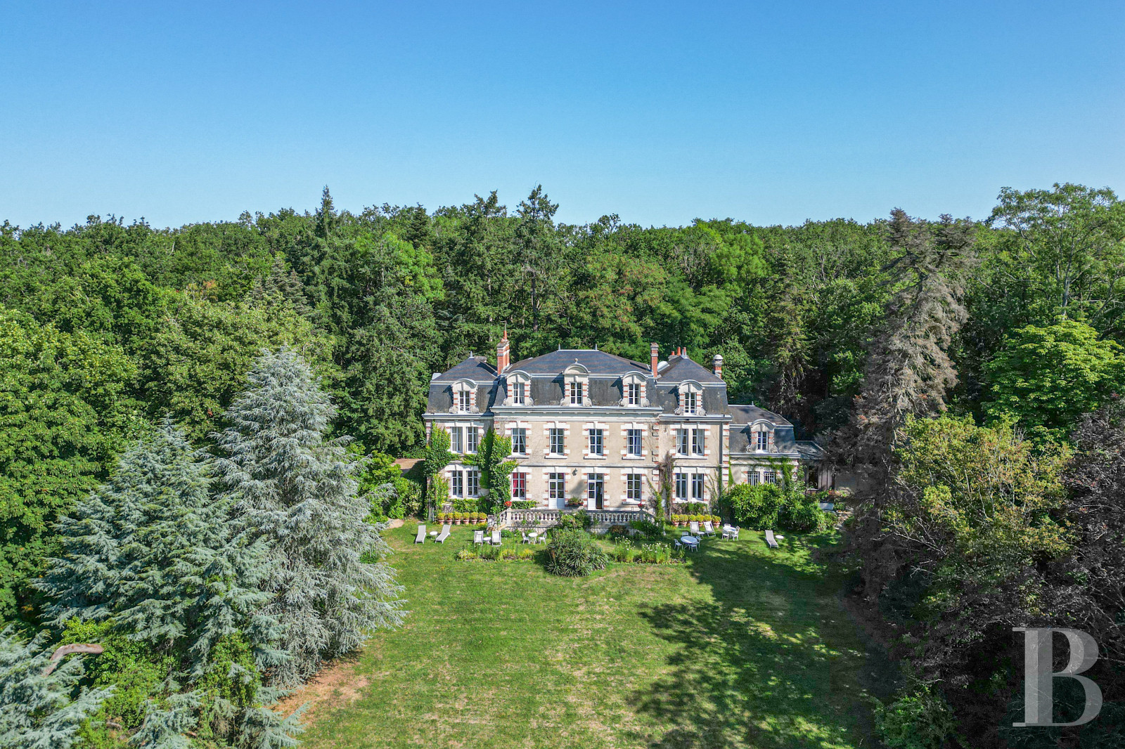 Castles / chateaux for sale in France between Blois and Amboise
