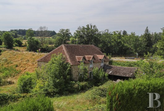 character properties France limousin   - 2
