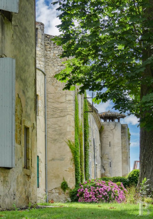chateaux for sale France midi pyrenees   - 3