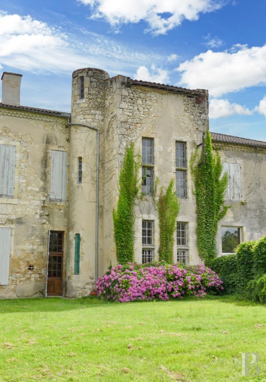 chateaux for sale France midi pyrenees   - 11