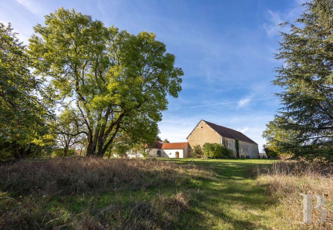 Character houses for sale in France nestled in Burgundy, two hours from