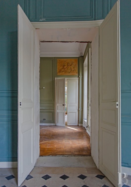 Castles / chateaux for sale - ile-de-france - A 195 m² flat with its original decor and garden,  in an 18th century chateau, 30 minutes south of Paris 