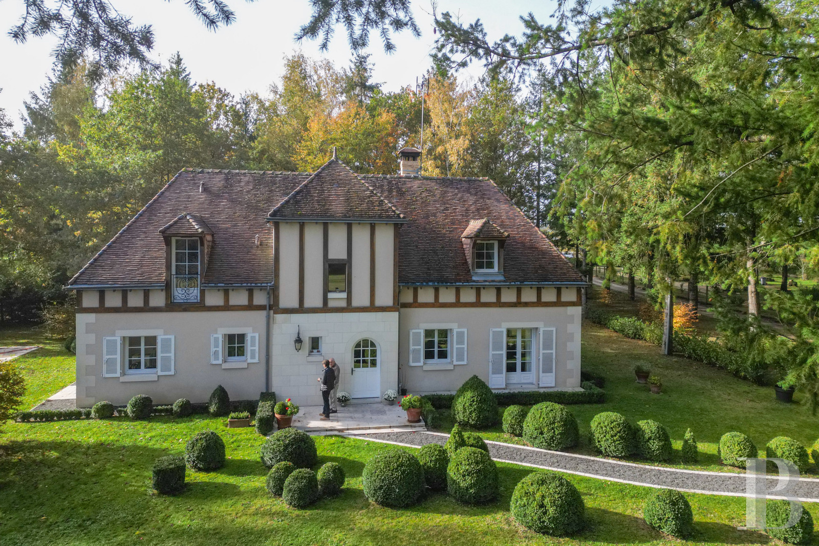 Character houses for sale in France 20 minutes south of Blois in the