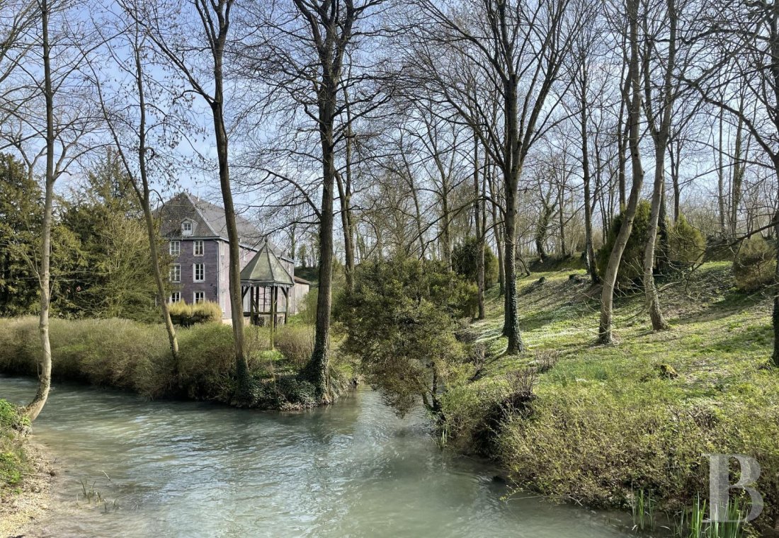 Character houses for sale - champagne-ardennes - A large watermill nestled in the valley of the River Moivre in France’s Champagne region
