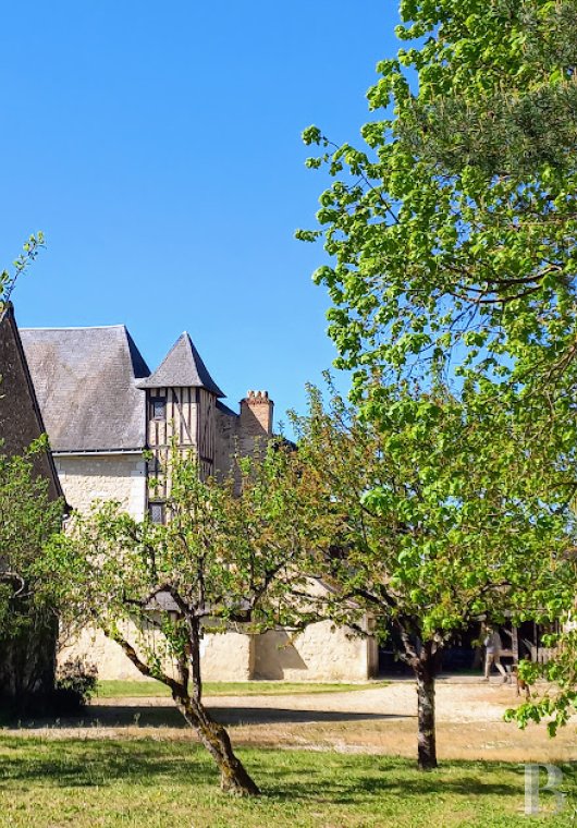 France mansions for sale center val de loire   - 6