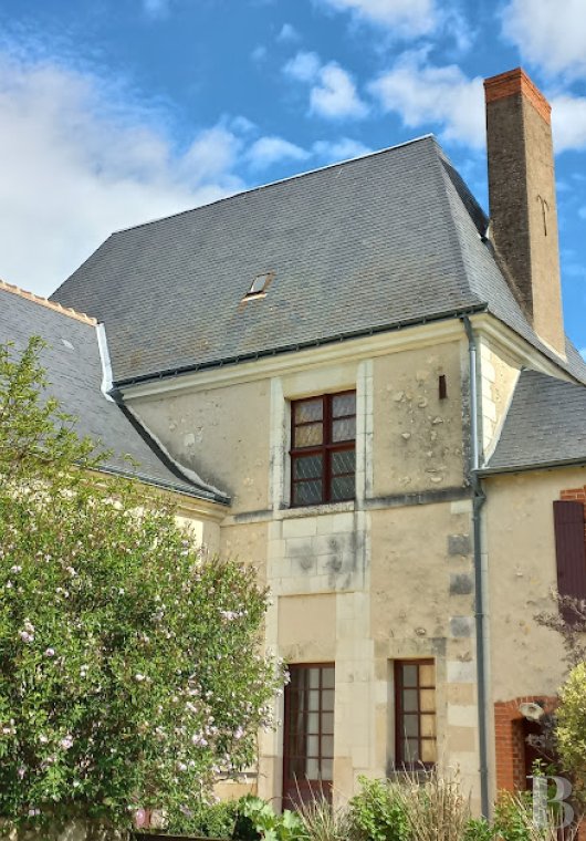 France mansions for sale center val de loire   - 5