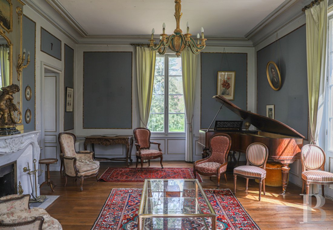 France mansions for sale poitou charentes   - 5