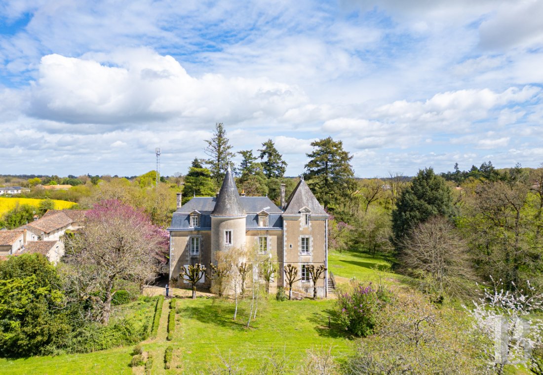 France mansions for sale poitou charentes   - 2
