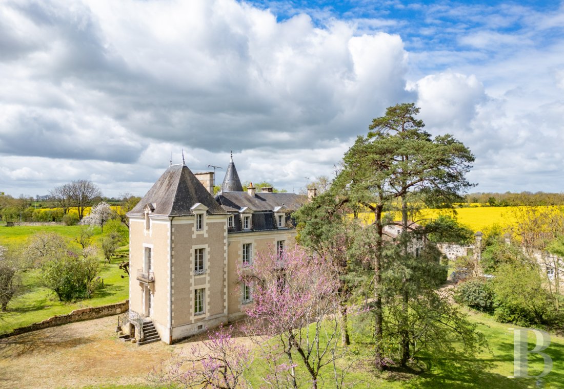 France mansions for sale poitou charentes   - 1