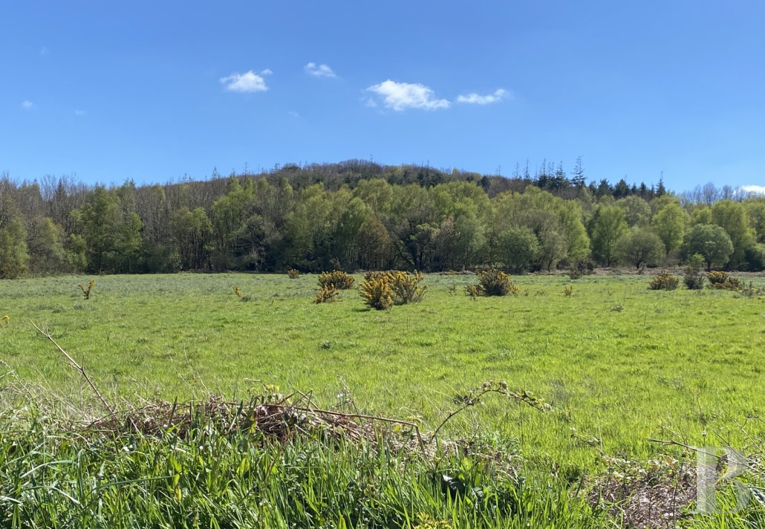 Forests and farm lands for sale - brittany - A 91-hectare natural estate, with 76 continuous hectares, 25 minutes from the beaches, in the Léguer valley in western Brittany 
